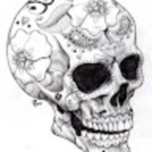 Meet your Posher, Shelby